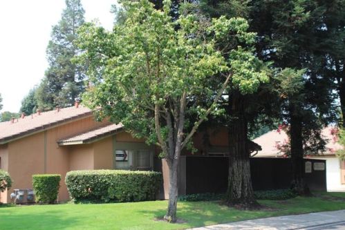 4052 Elmo Loop, Modesto, CA 95356-0156