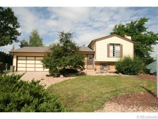 11541 Donley Dr, Parker, CO 80138-3829