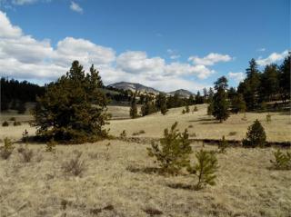 436 Tess Trace Rd, Guffey, CO 80820