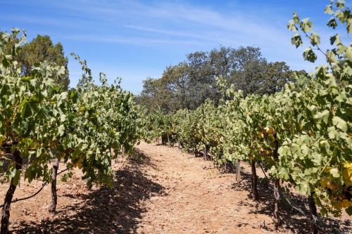 4781 Eastside Calpella Rd, Ukiah CA  95482-9469 exterior