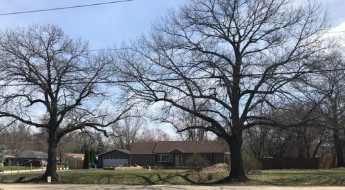 351 Division St, Braidwood, IL 60408-2112