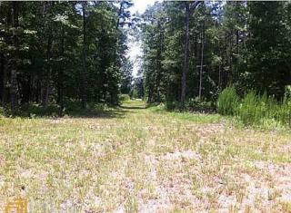 917 Shawnee Egypt Rd, Stillwell, GA 31329-3424