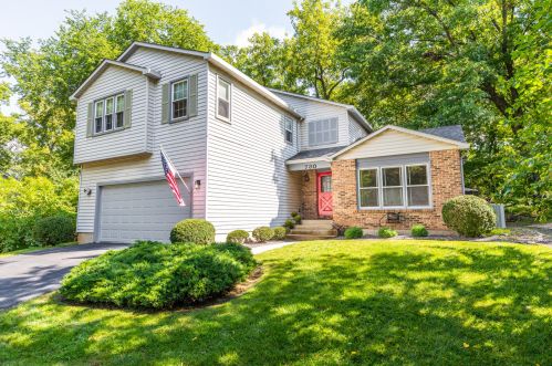 730 Victoria Ct, Lemont, IL 60440-1144