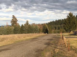 4120 Beauty Ln, Colbert, WA 99005-4901