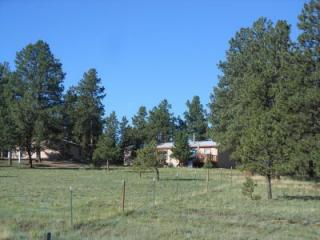 556 Music Mountain Dr, Horn Creek, CO 81252-9155
