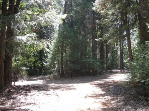 15145 Shadowwood Dr, Nimshew, CA 95954-9779