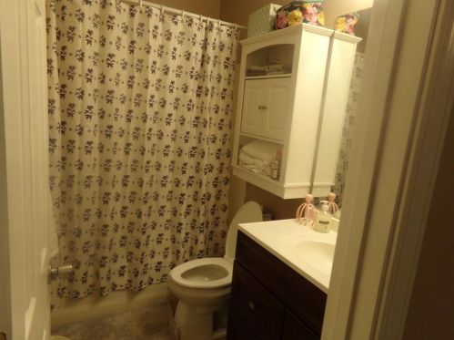 1111 Britley Park Ln, Holly Springs, GA 30189-5595