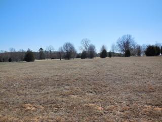 112 Royal Burgess Dr, Campobello, SC 29322-8751