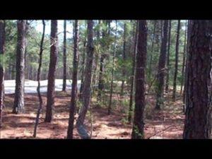 10 Bee Tree Ln, Wagram, NC 28396