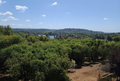 11581 Madrone Ct, Auburn, CA 95602-8383