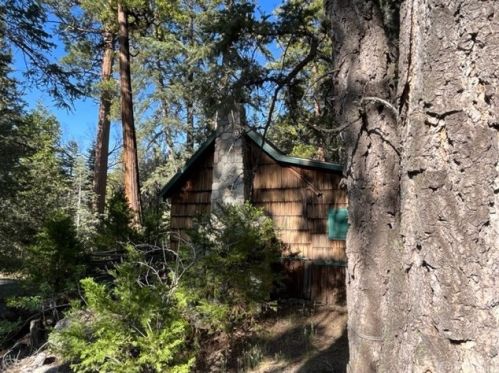 65 Barton Flats Rd, Seven Oaks, CA 92305-9785