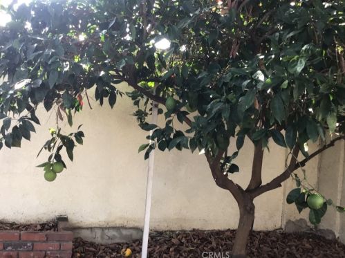 1302 Arlington Ave, Anaheim CA  92801-2003 exterior