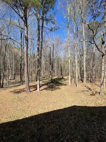 135 Ashley Creek Dr, Newnan GA  30263-4167 exterior