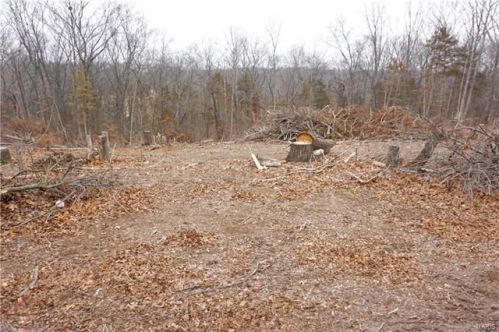 9 Evergreen Ln, Festus, MO 63028-3533