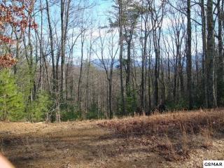 1080 Stinnett Ridge Rd, Cosby, TN 37722-4031