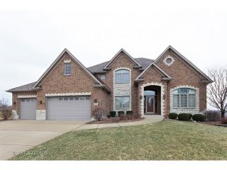 12390 Briarcliffe Dr, Lemont, IL 60439-4389
