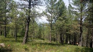 13329 Covey Run Ln, Spokane, WA 99224-8522
