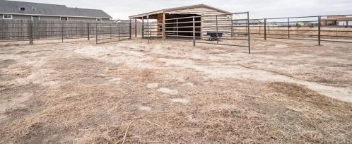 1212 Saddle Ridge Ln, Pueblo CO  81007-3905 exterior