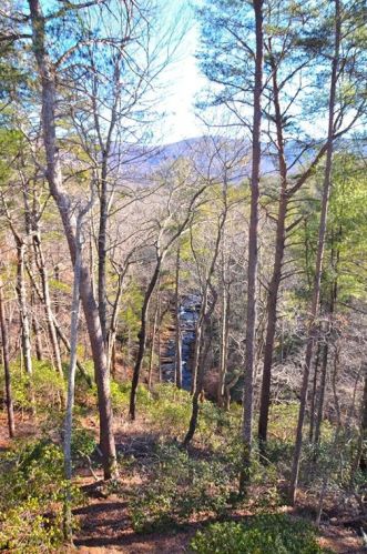 49 Horse Cove Ct, Big Canoe GA  30143-0056 exterior