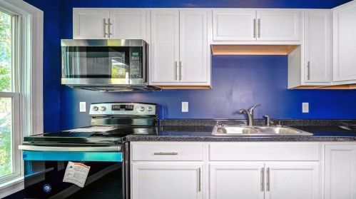 1736 Ames Pl, Saint Paul MN  55106-2954 exterior