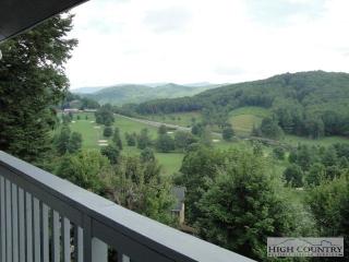 825 Hemlock Dr, Beech Bottom, NC 28657-8805