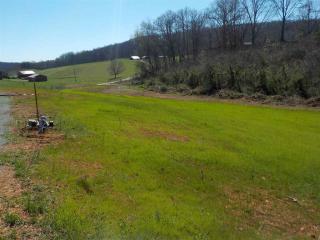 1732 Owl Hole Gap Rd, Rutledge, TN 37861-4229