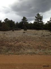 1231 Texas Creek Ln, Cotopaxi, CO 81223-9647