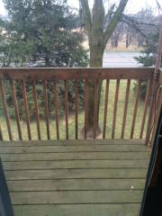 5997 Dellwood Ave, Saint Paul MN  55126-8453 exterior