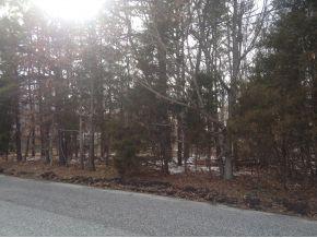 29 Peterson Dr, Tuckerton, NJ 08087-9712