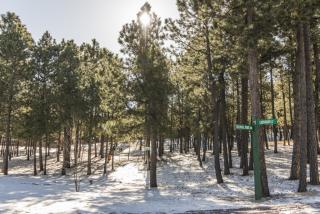 17523 Colonial Park Dr, Woodmoor, CO 80132-2207