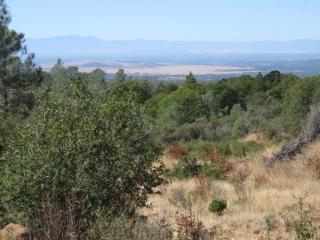 31720 Hazen Rd, Manton, CA 96059-9329