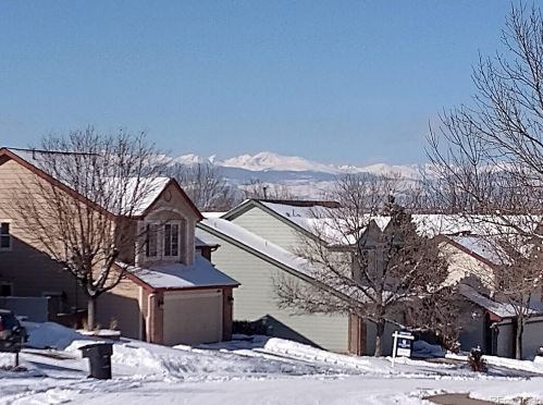 452 131st Ave, Denver, CO 80241-1736