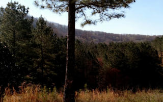 2 Reece Trl, Ellijay, GA 30540-0079