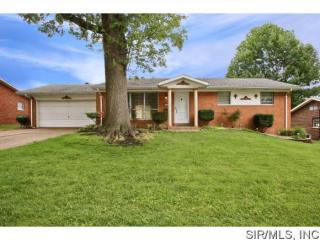 124 Williamsburg Dr, Belleville, IL 62221-3157
