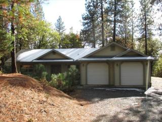 6221 Pine Needle Ln, Swansboro Country, CA 95667-8336