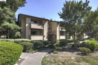 174 Shaniko Cmn, Fremont, CA 94539-8103