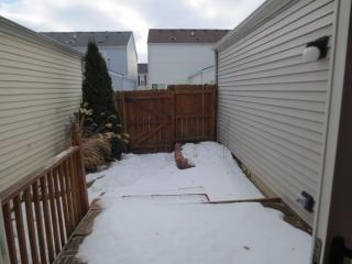 967 Symphony Dr, Aurora IL  60504-5563 exterior