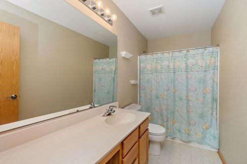 313 Century Dr, Pingree Grove IL  60140-4013 exterior