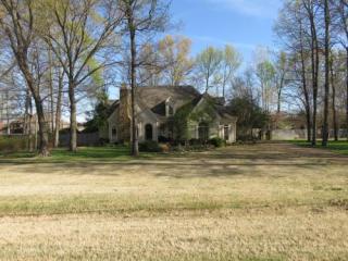 9730 Woodland Run Ln, Cordova, TN 38018-6612