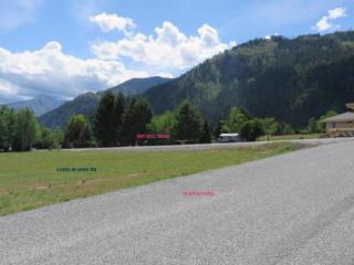 12395 Emig Dr, Plain, WA 98826-8750