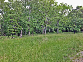 880 Bluebird Ln, Sparta, MO 65753-1200