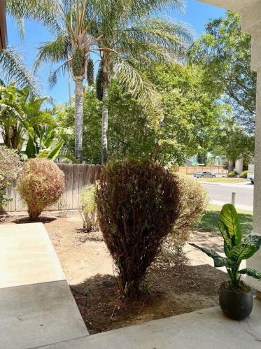 1012 Garden St, Los Banos CA  93635-4563 exterior