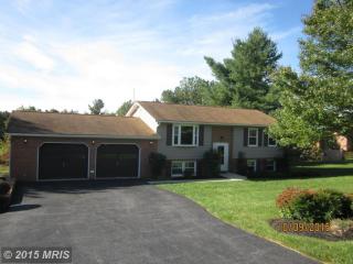 3597 Colebrook Ct, Middletown, MD 21769-6439