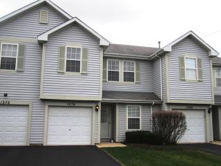 1276 Arapaho Ct, Naperville IL  60540-0919 exterior