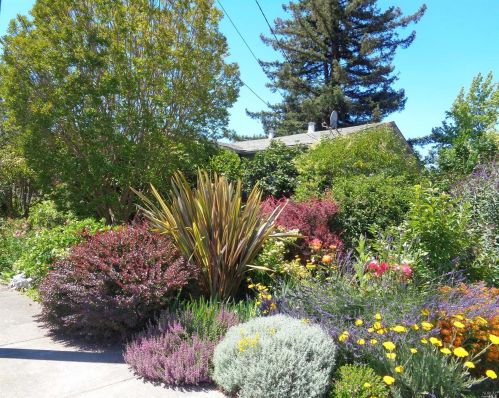 452 Bonnardel Ave, Sebastopol, CA 95472-3402