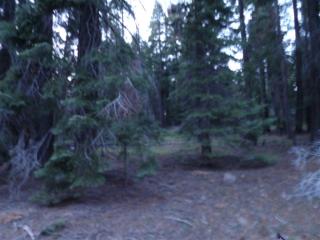 3200 Woodlake Dr, Peninsula Village, CA 96137-9748