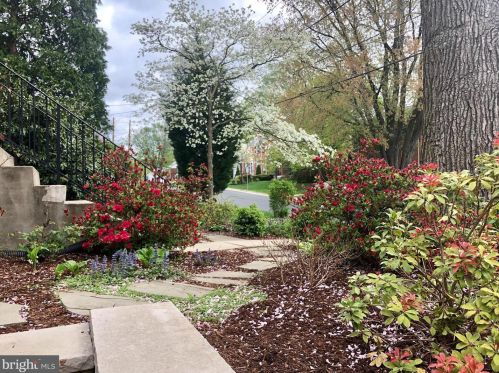 10006 Markham St, Silver Spring MD 20901-2233 exterior