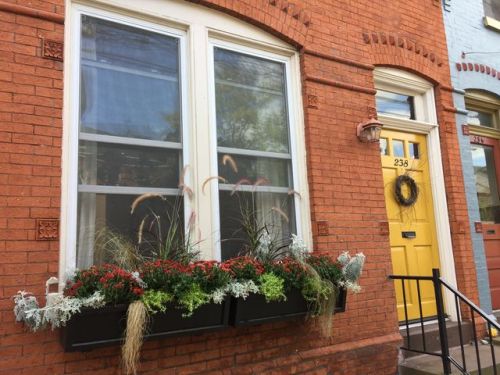 238 Walnut St, Lancaster PA  17602-2451 exterior