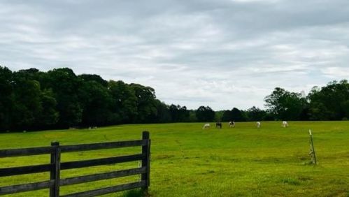 1279 Covered Bridge Rd, Porterdale, GA 30016-5032