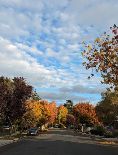 2150 Cherrystone Dr, San Jose, CA 95128-1216